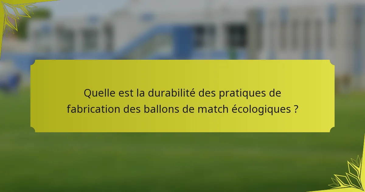 Quelle est la durabilité des pratiques de fabrication des ballons de match écologiques ?