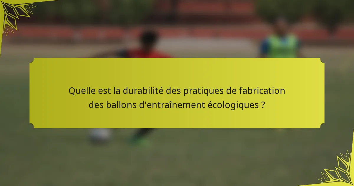Quelle est la durabilité des pratiques de fabrication des ballons d'entraînement écologiques ?