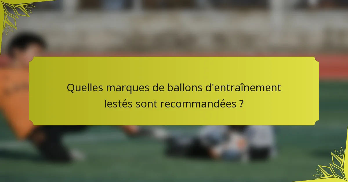 Quelles marques de ballons d'entraînement lestés sont recommandées ?