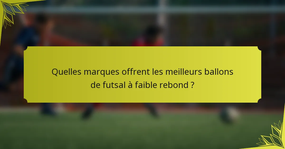 Quelles marques offrent les meilleurs ballons de futsal à faible rebond ?