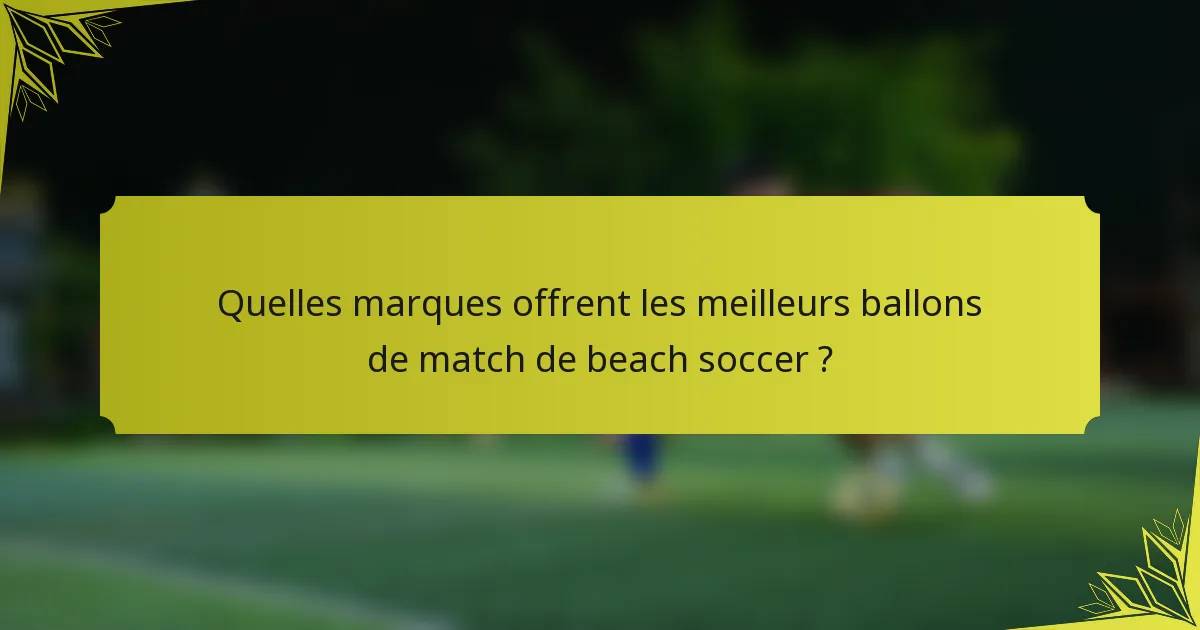 Quelles marques offrent les meilleurs ballons de match de beach soccer ?