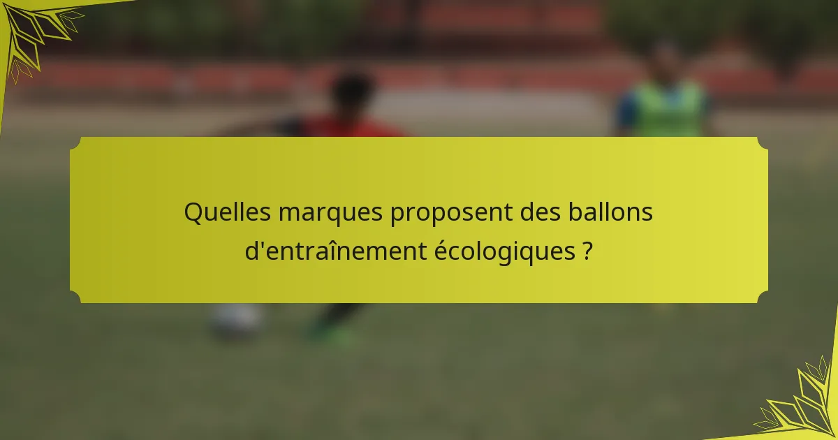 Quelles marques proposent des ballons d'entraînement écologiques ?