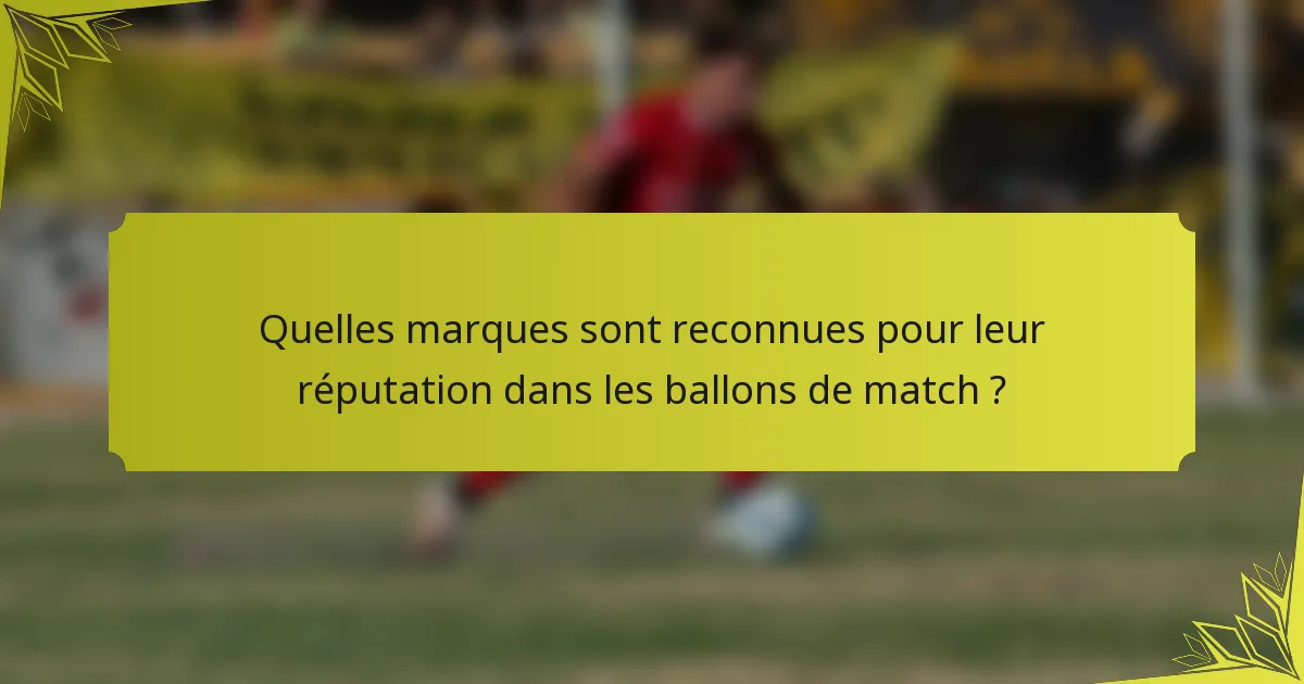 Quelles marques sont reconnues pour leur réputation dans les ballons de match ?