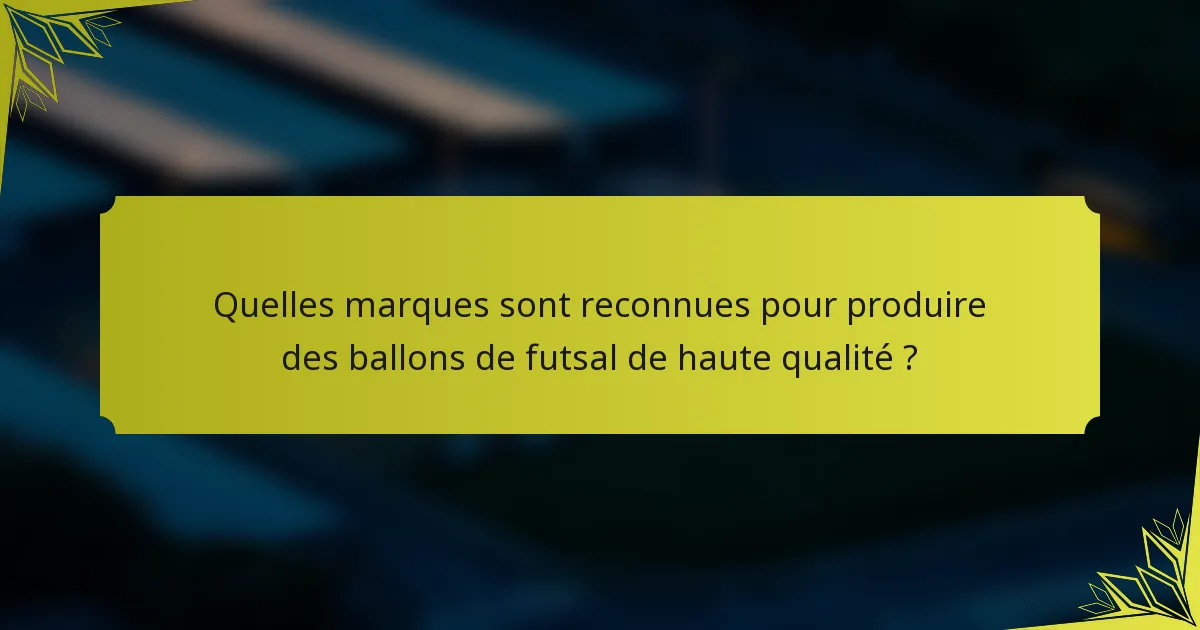 Quelles marques sont reconnues pour produire des ballons de futsal de haute qualité ?
