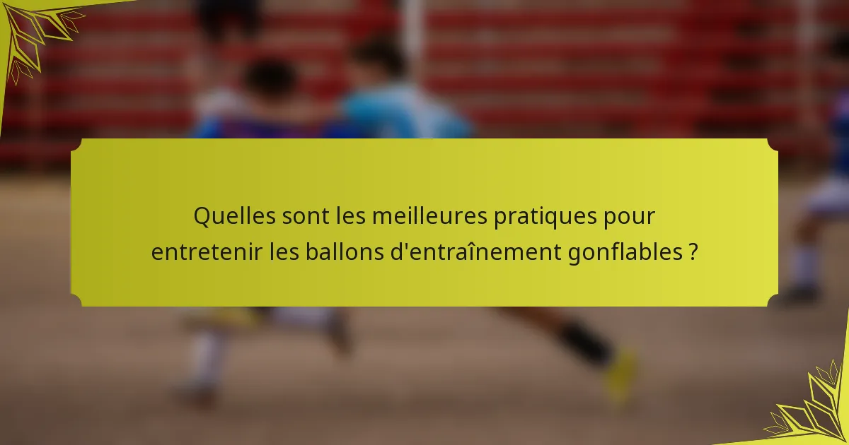 Quelles sont les meilleures pratiques pour entretenir les ballons d'entraînement gonflables ?