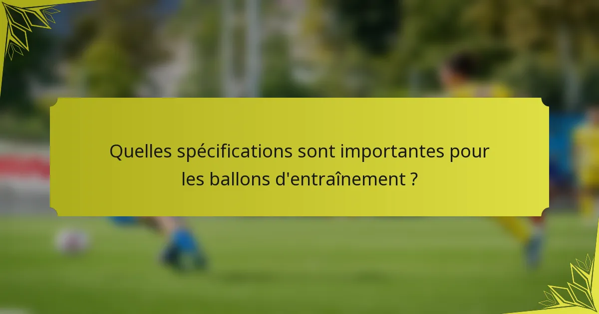 Quelles spécifications sont importantes pour les ballons d'entraînement ?