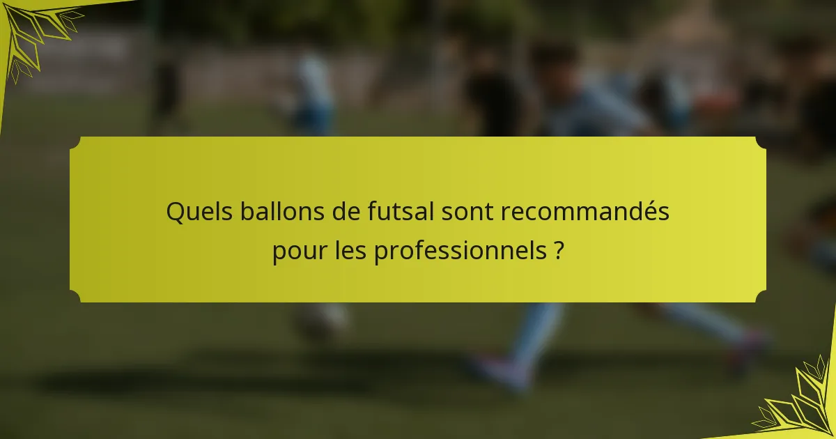 Quels ballons de futsal sont recommandés pour les professionnels ?