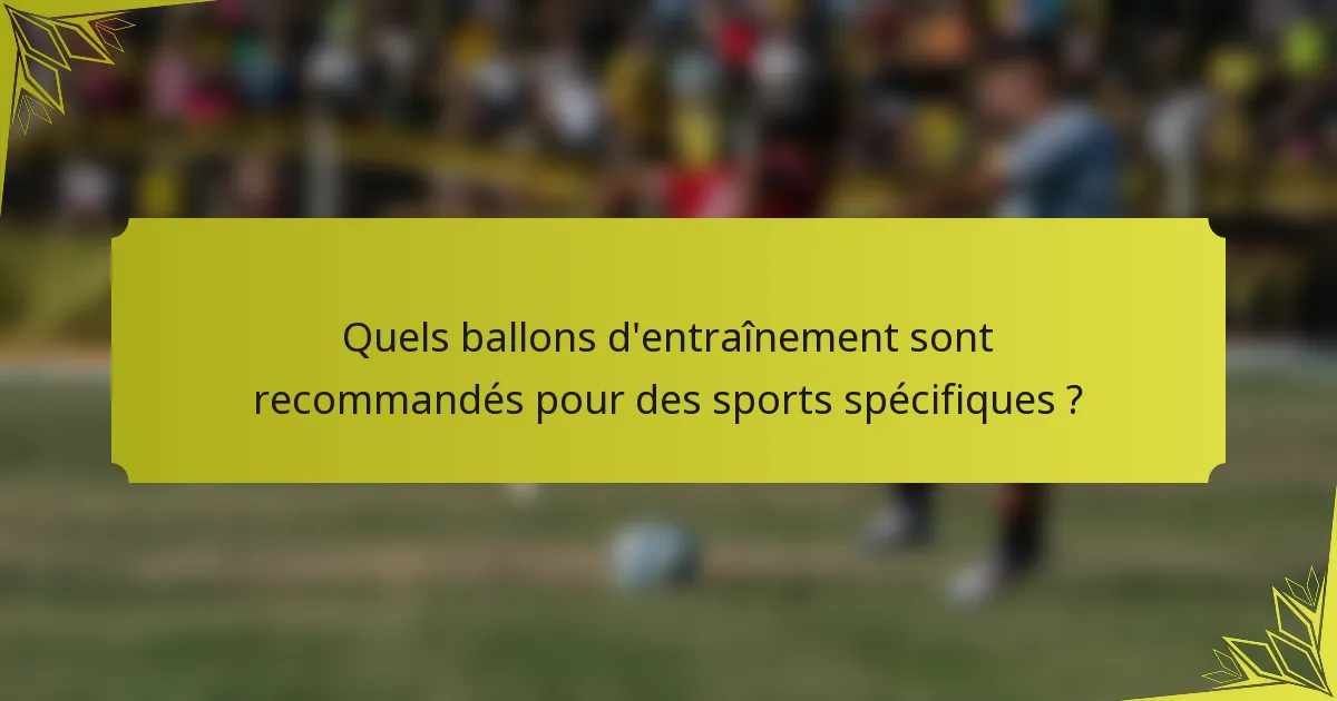 Quels ballons d'entraînement sont recommandés pour des sports spécifiques ?