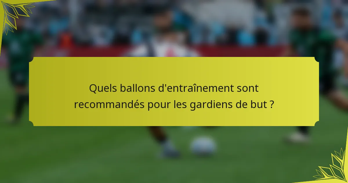 Quels ballons d'entraînement sont recommandés pour les gardiens de but ?