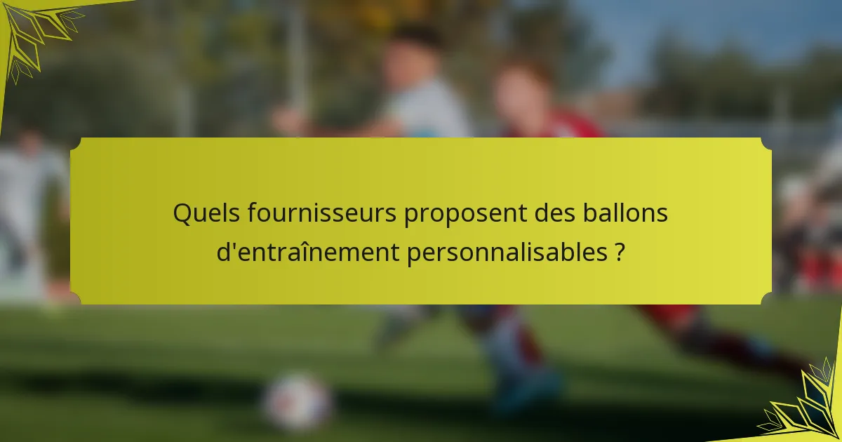 Quels fournisseurs proposent des ballons d'entraînement personnalisables ?