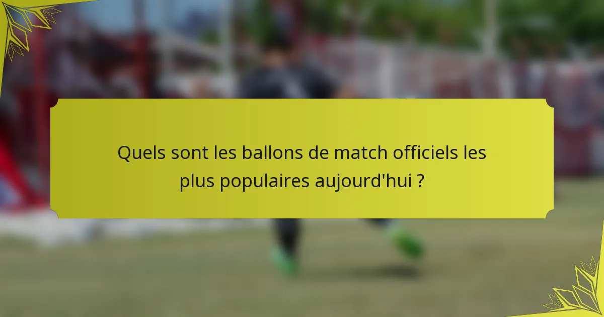 Quels sont les ballons de match officiels les plus populaires aujourd'hui ?