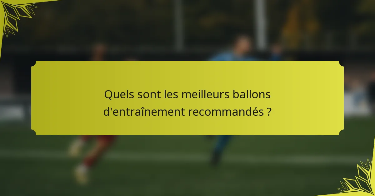 Quels sont les meilleurs ballons d'entraînement recommandés ?
